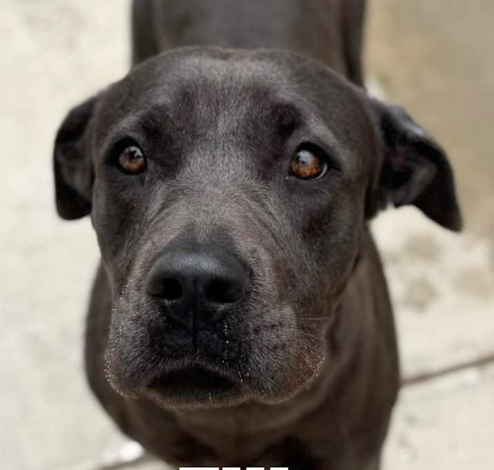 Photo of Tilly