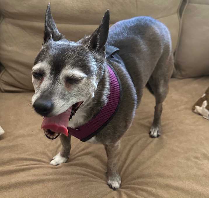 Photo of Sable Marie
