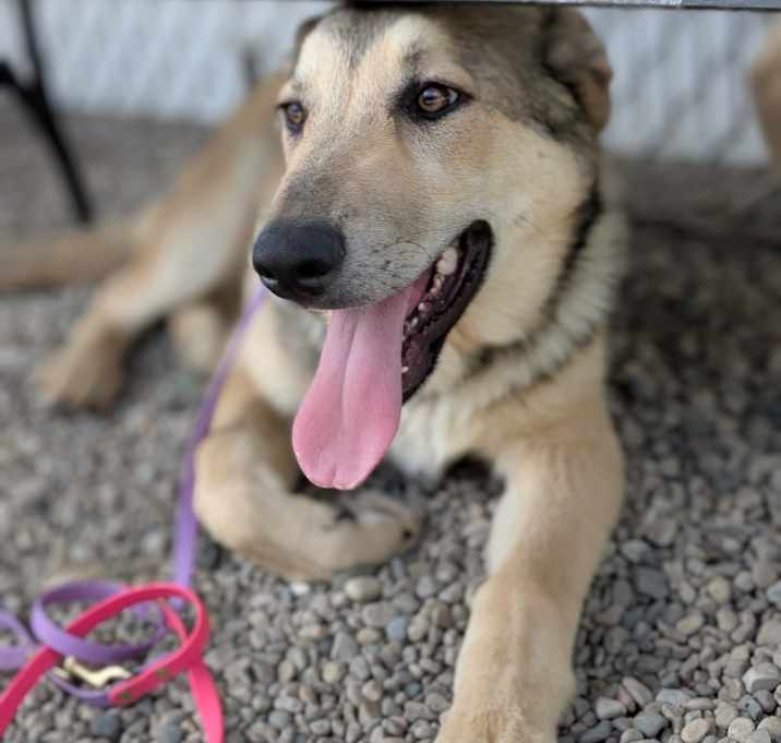 Photo of Jazz