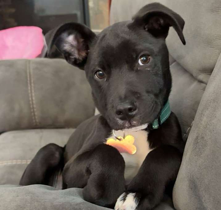 Photo of Elphaba