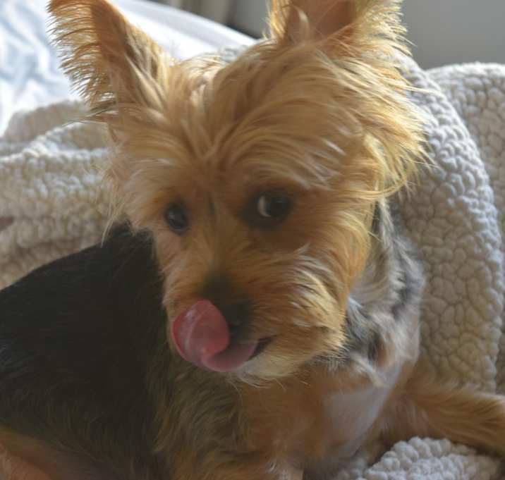 Photo of Max