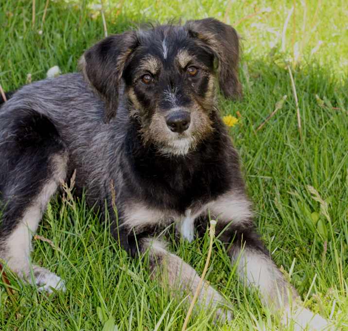 Photo of Loretta