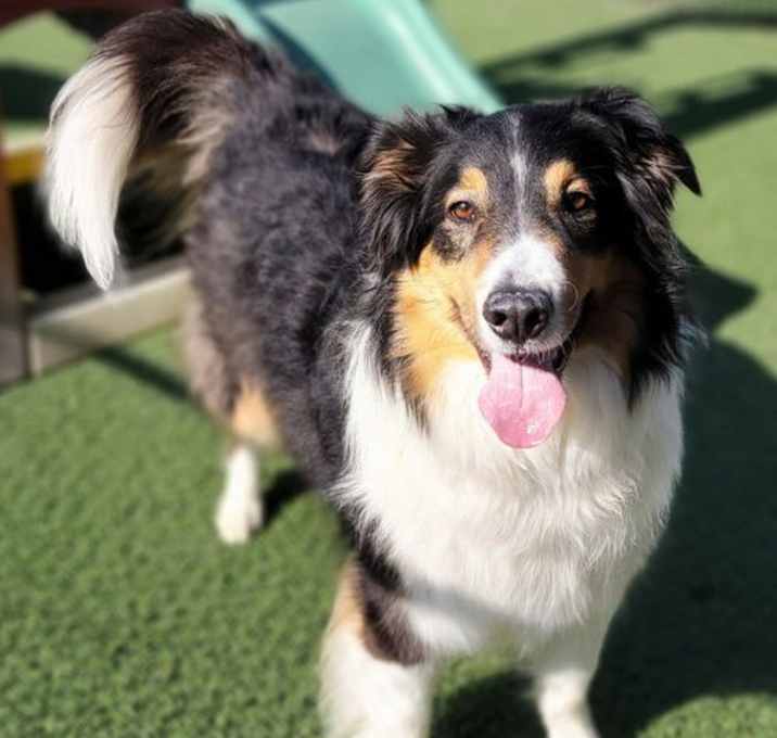 Photo of Sawyer