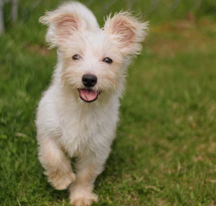 Photo of Esme