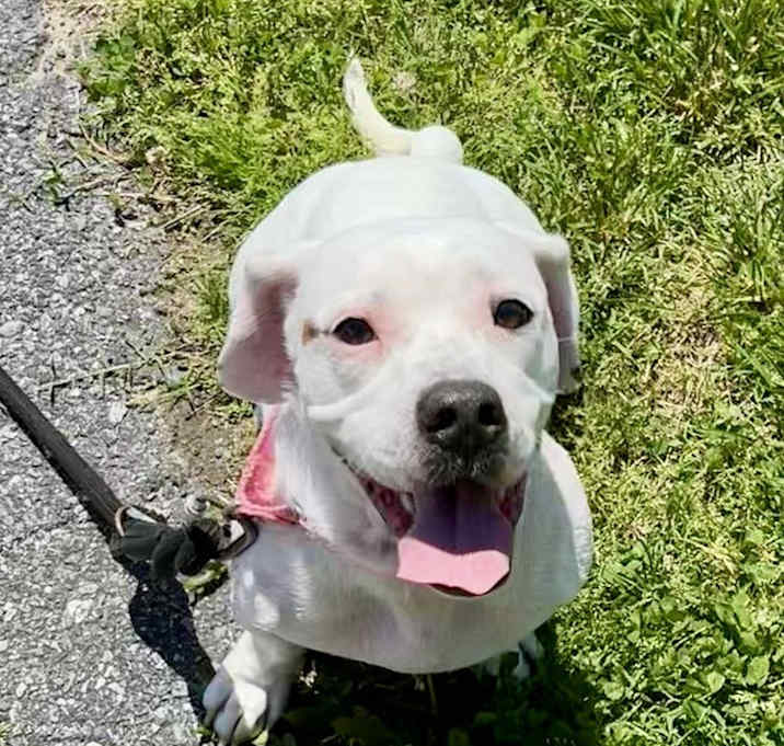 Photo of Mama Marshmallow