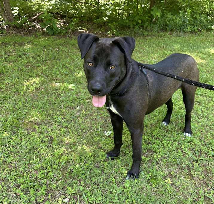 Photo of Blu