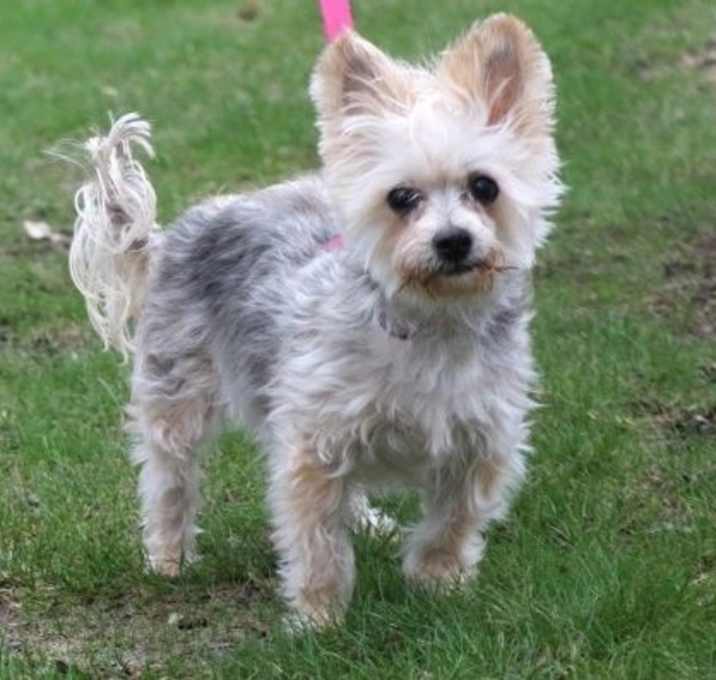 Photo of Lucy