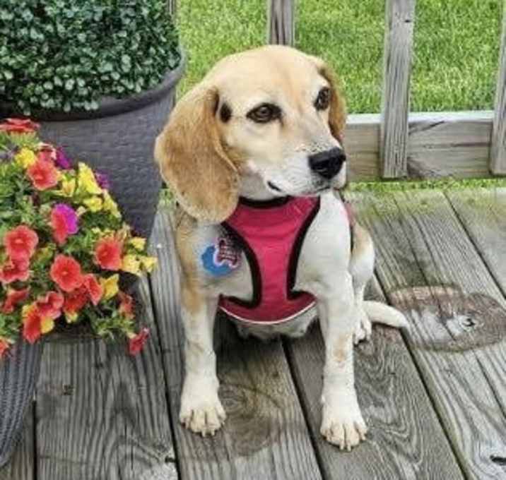 Photo of Pennie