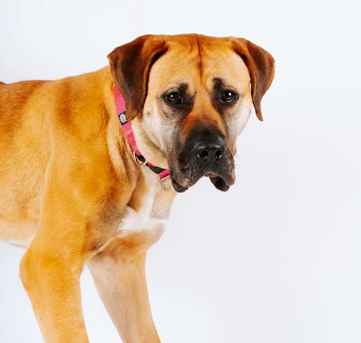 Photo of Heidi