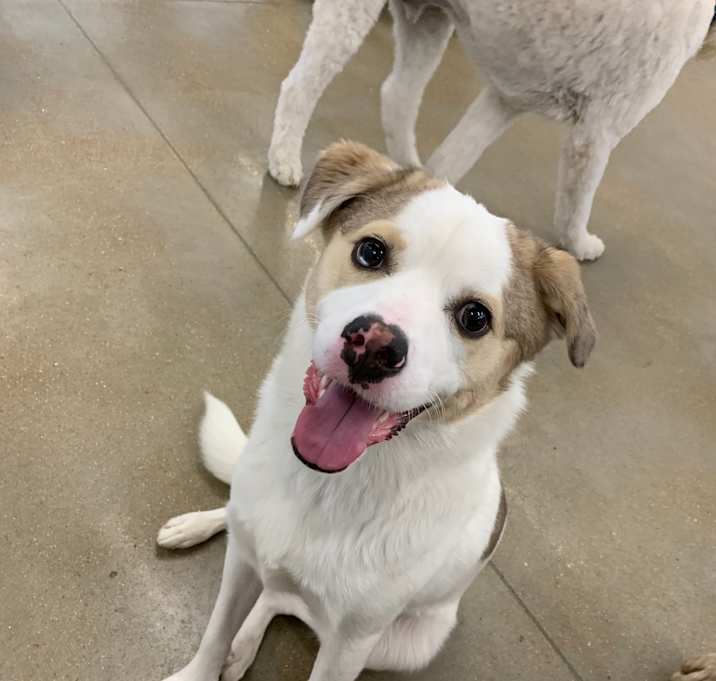 Photo of Champ