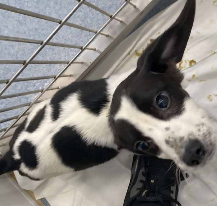 Photo of Gunther