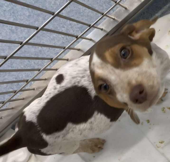 Photo of Maggie