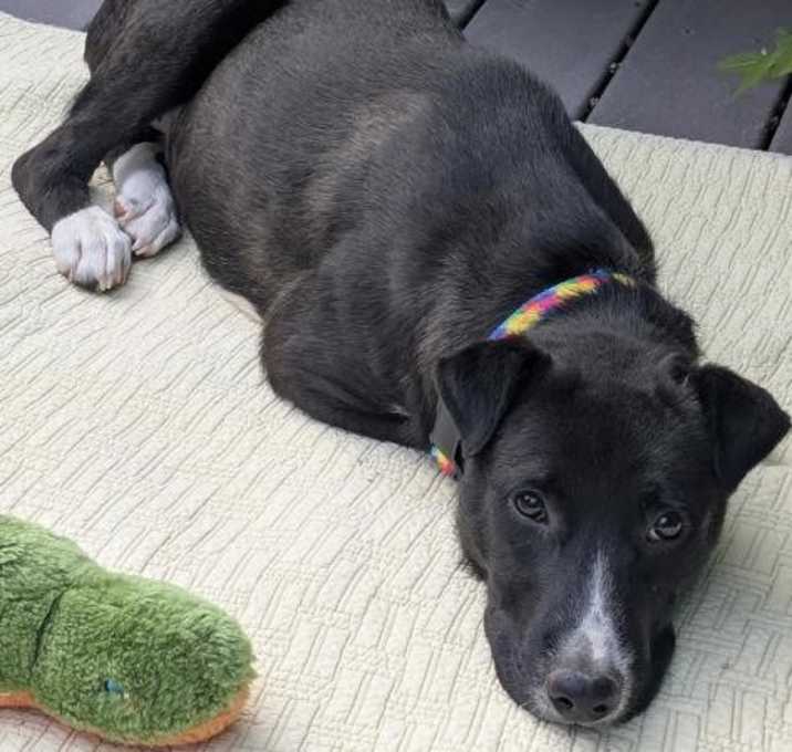 Photo of Lily
