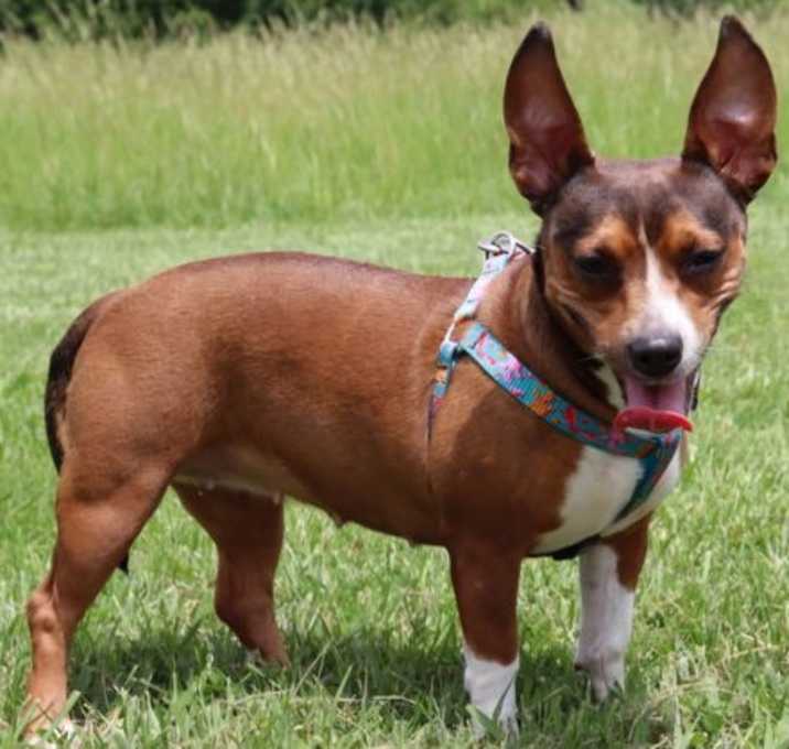 Photo of CHLOE