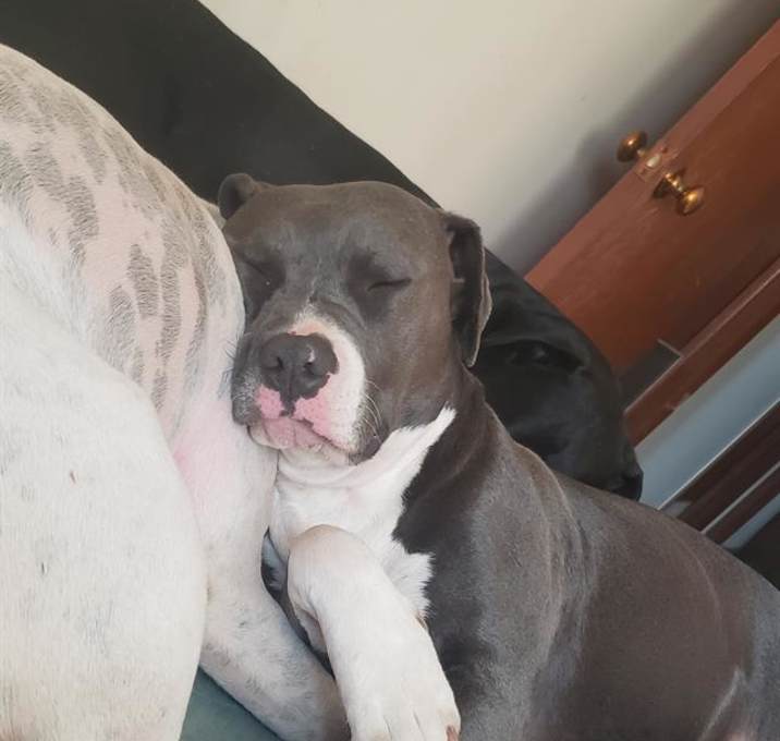 Photo of EMBER