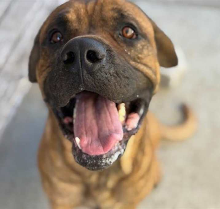 Photo of THOR