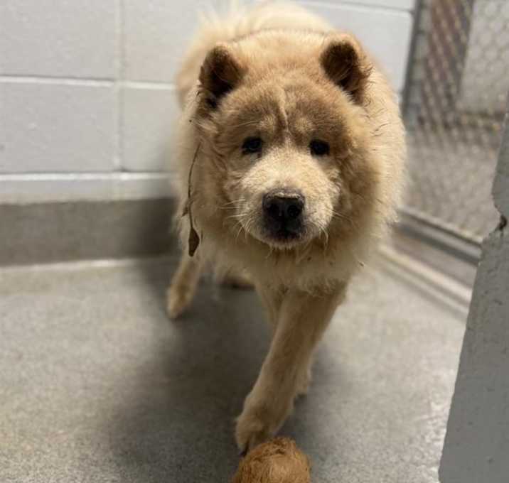 Photo of LEO