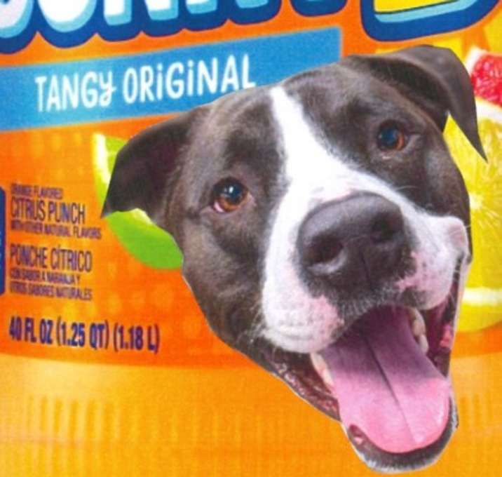 Photo of Sunny D