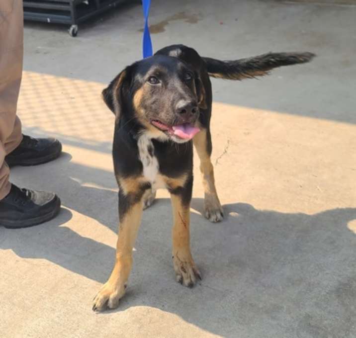 Photo of Roxy