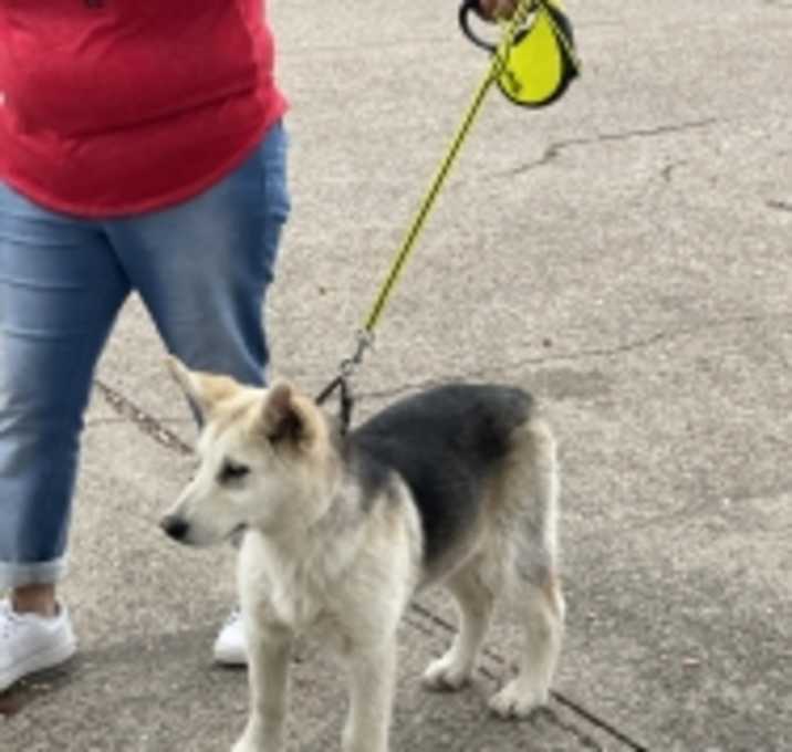 Photo of Luna