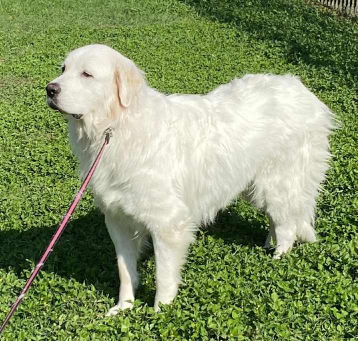Photo of Rosie