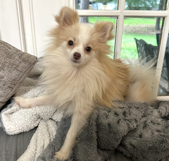 Photo of Bonnie