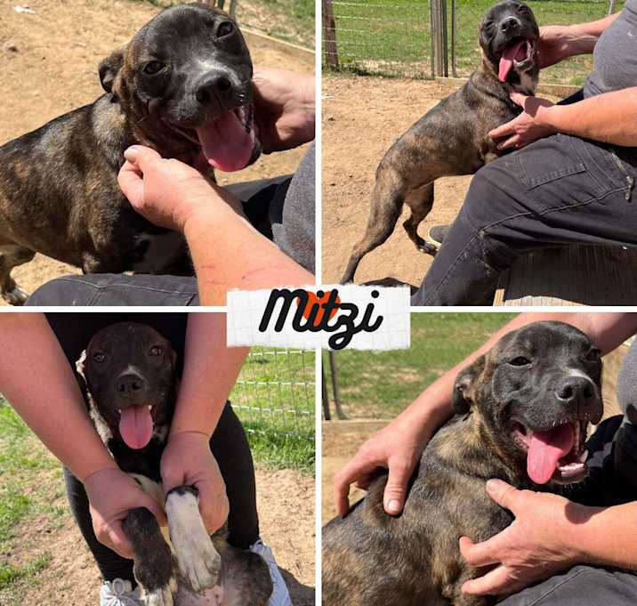 Photo of Mitzi