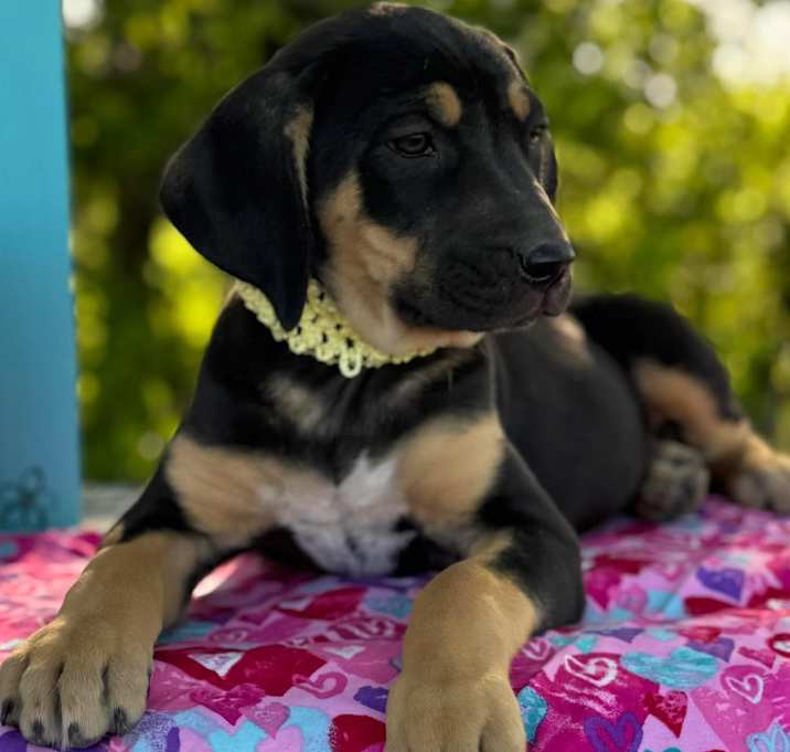 Photo of Sophia