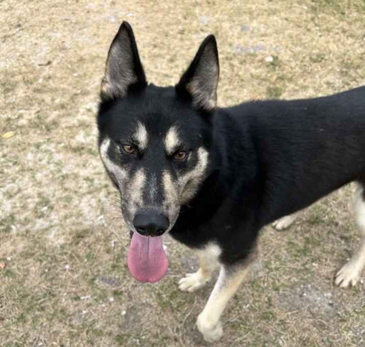 Photo of Sasha