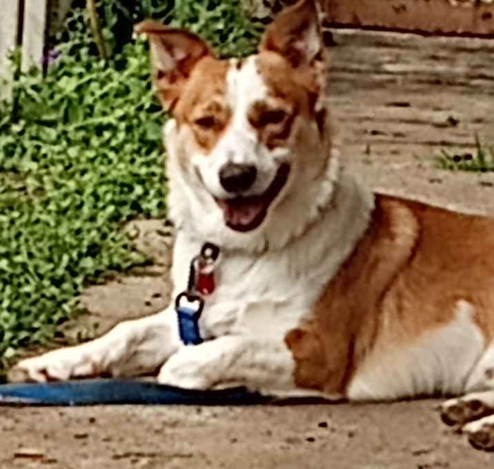 Photo of Artemis