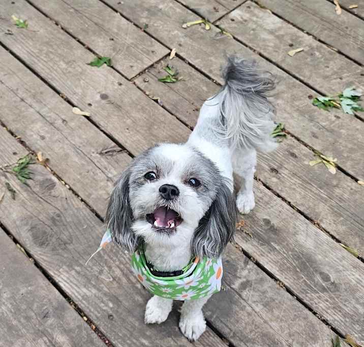 Photo of DJ