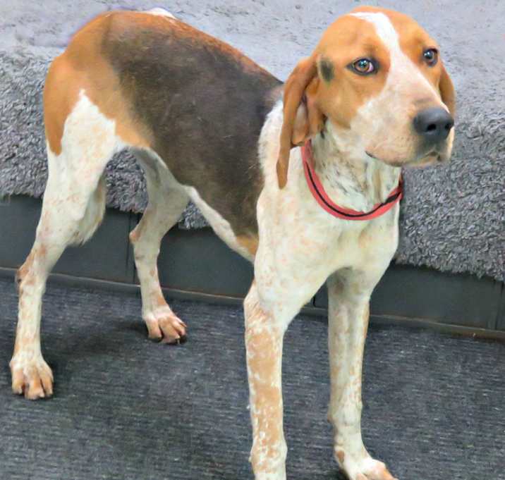 Photo of Trackie