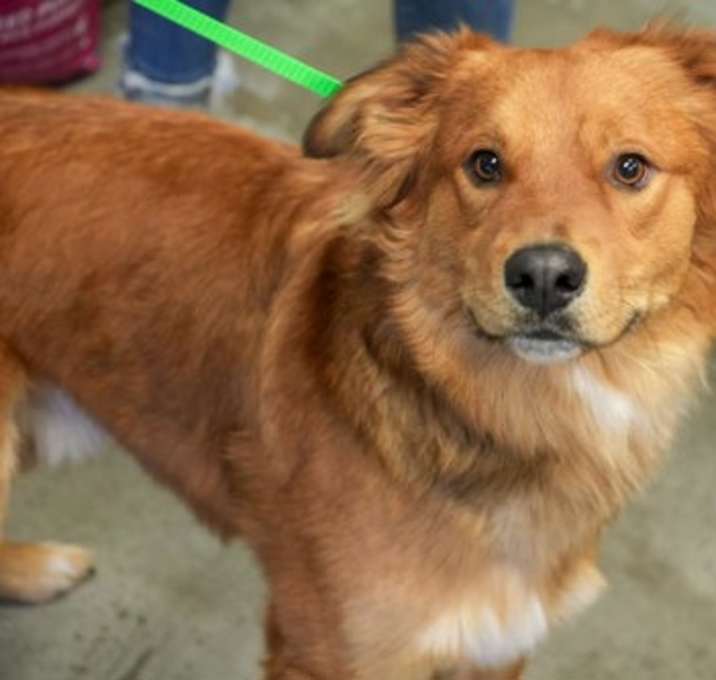 Photo of Tyson~ Sponsored!