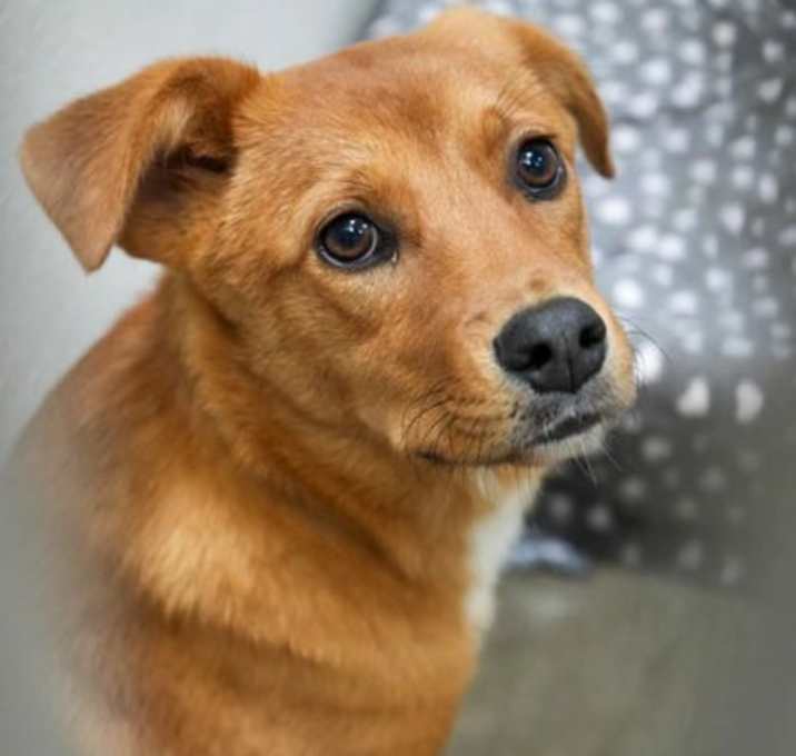 Photo of Baby