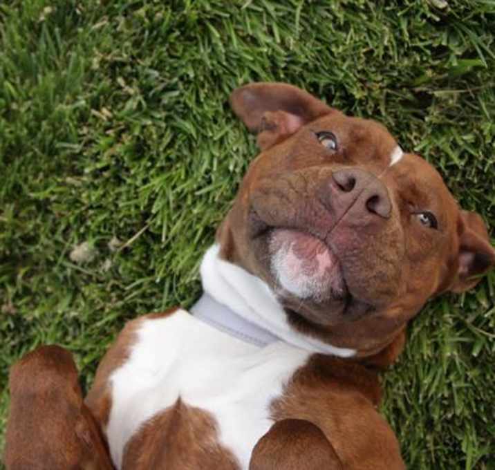 Photo of GYPSY