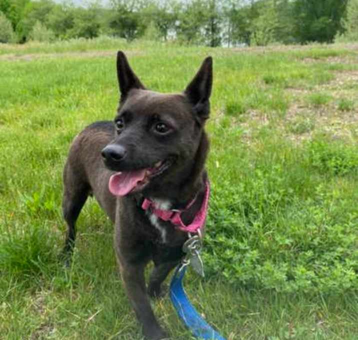 Photo of Suki