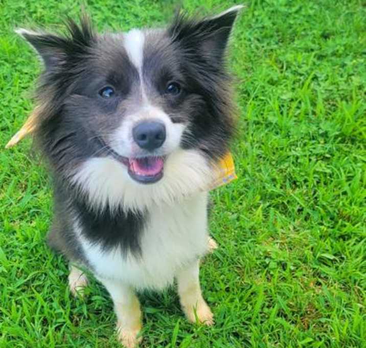 Photo of Mr. Darcy