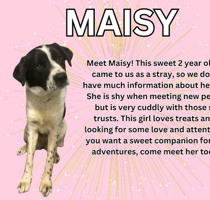 Photo of Maisy