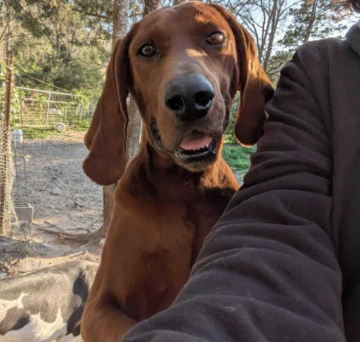 Photo of Jethro
