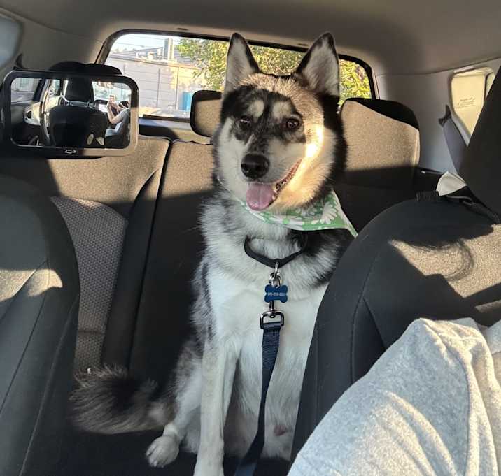 Photo of Echo