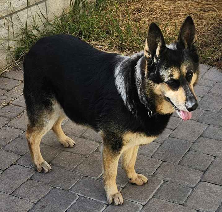 Photo of Mia