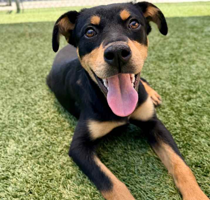 Photo of Sporty