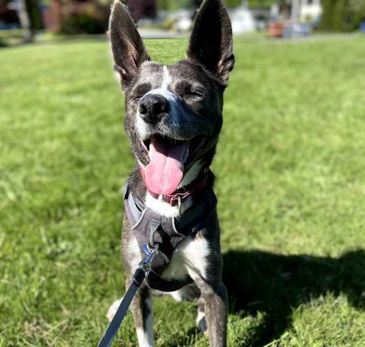 Photo of Mukgoo
