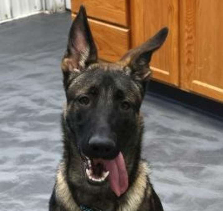 Photo of Dex
