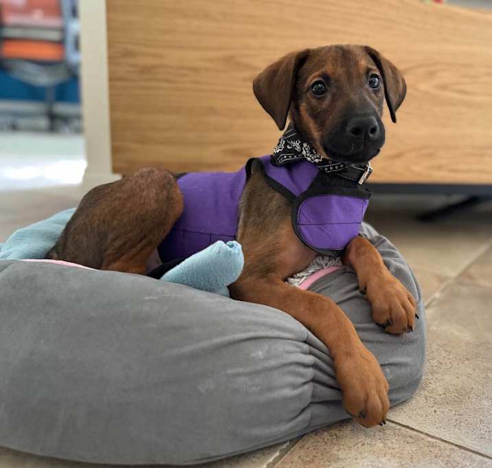 Photo of Zara