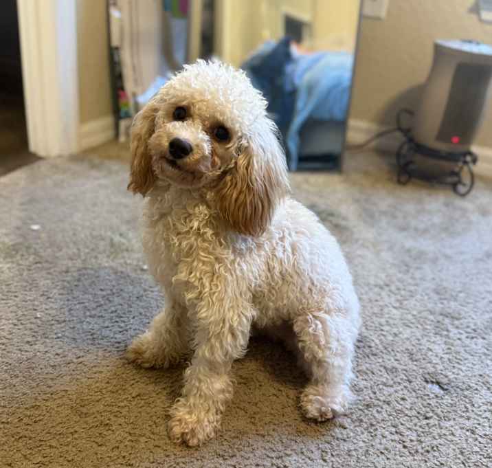 Photo of Lucy