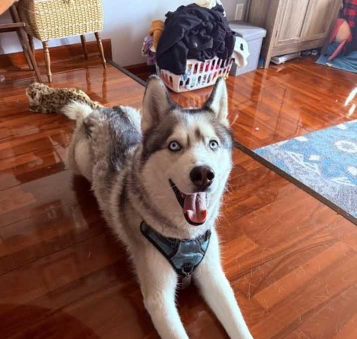 Photo of Zeke