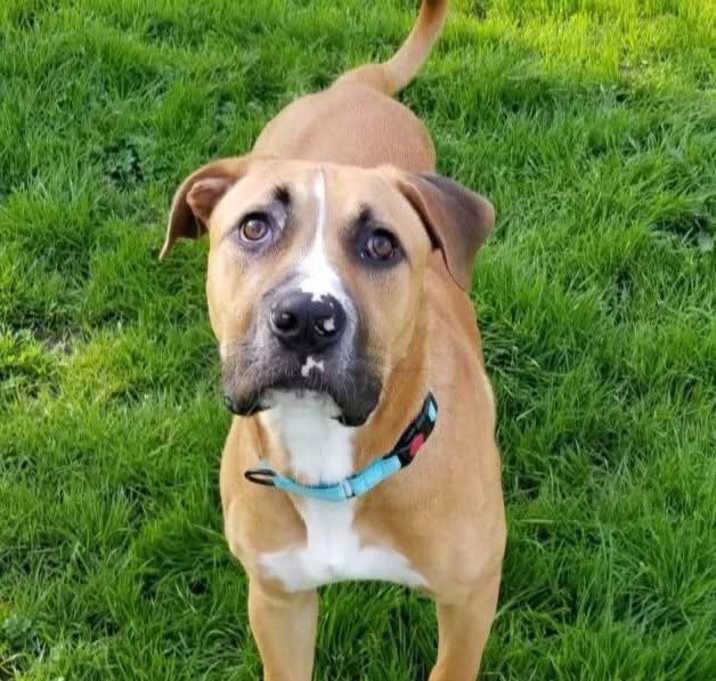 Photo of Chase