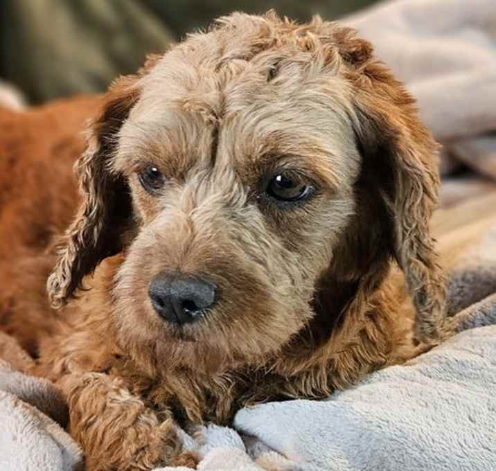 Photo of Shelly