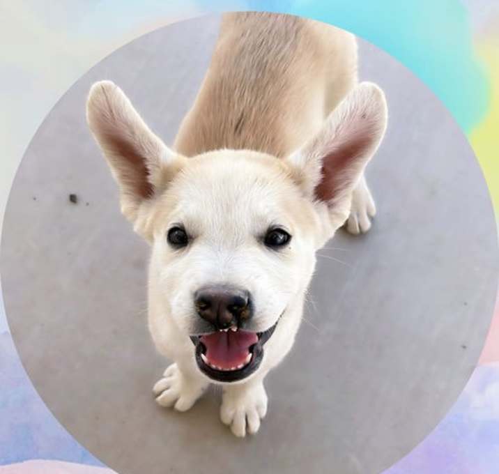 Photo of ZEUS